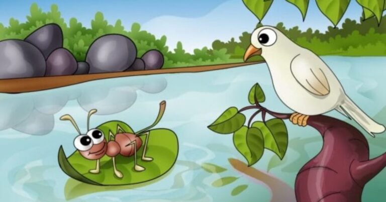 The Ant And The Dove Story